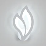 LED Wall Light Indoor